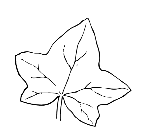 ivy-logo